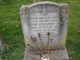 image of grave number 279621